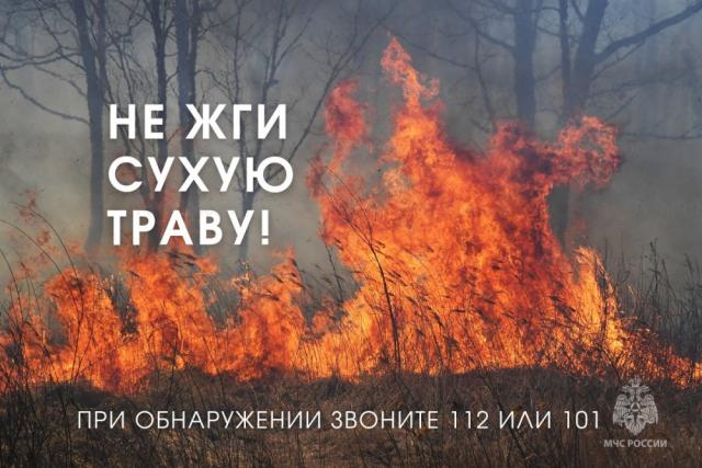 не жги траву (2).jpg